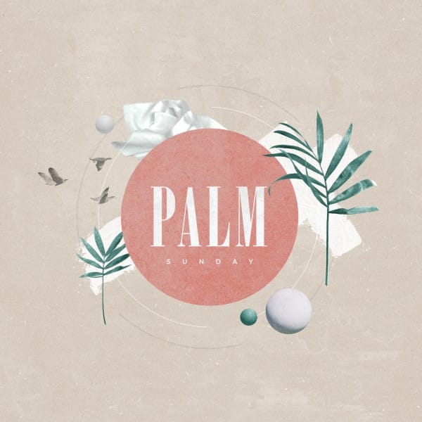 Palm Sunday Pink Church Social Media Graphic