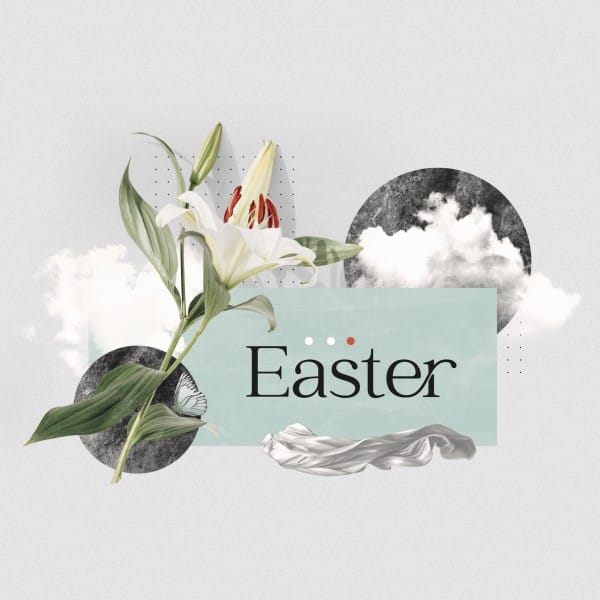 Easter Lily Social Media Graphic