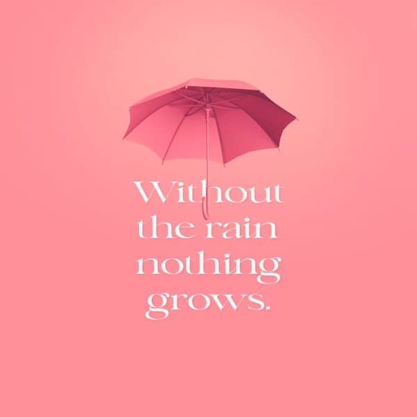 Without Rain Social Media Graphic