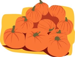 Pile of Harvested Pumpkins