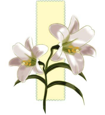 Lilies for Easter Decorations