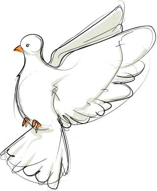 Flying Dove Sketch Facing Left