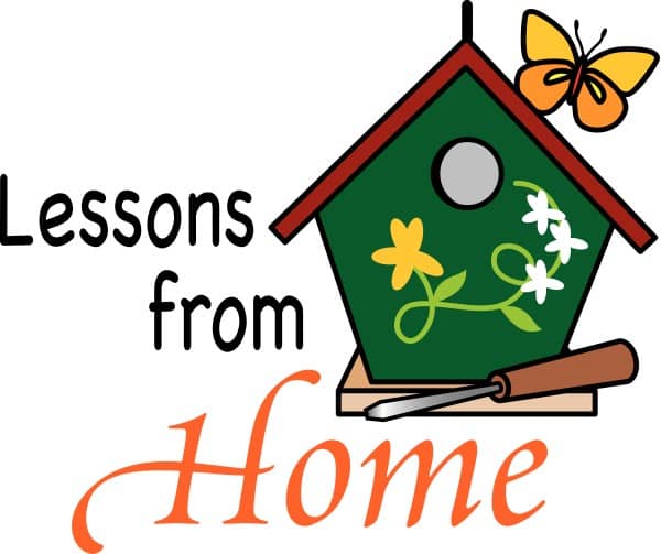 Lessons from Home and a Birdhouse
