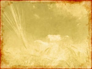 Worship Background For Harvest
