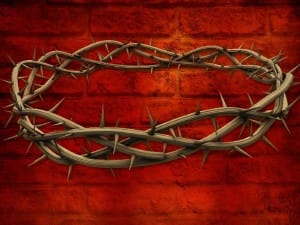 Crown of Thorns Background Wallpaper
