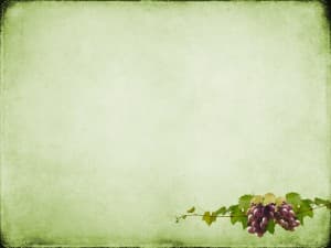 Grapes Worship Background