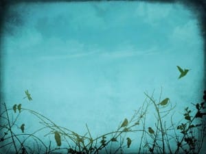 Spring Worship Background