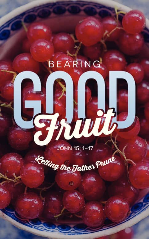 Bearing Good Fruit Religious Bulletin