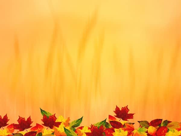 Harvest Leaves Thanksgiving Background