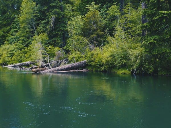 River Log Church Worship Background