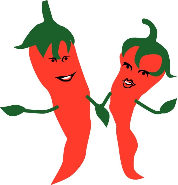 Hot Peppers Holding Hands