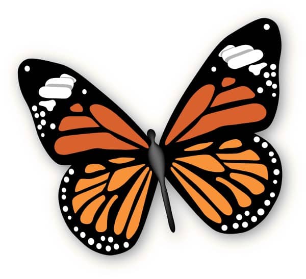 Modern Rendering of a Monarch Butterfly