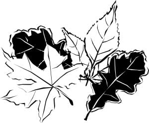leaves falling clip art black and white