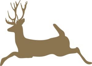 Bounding Stag