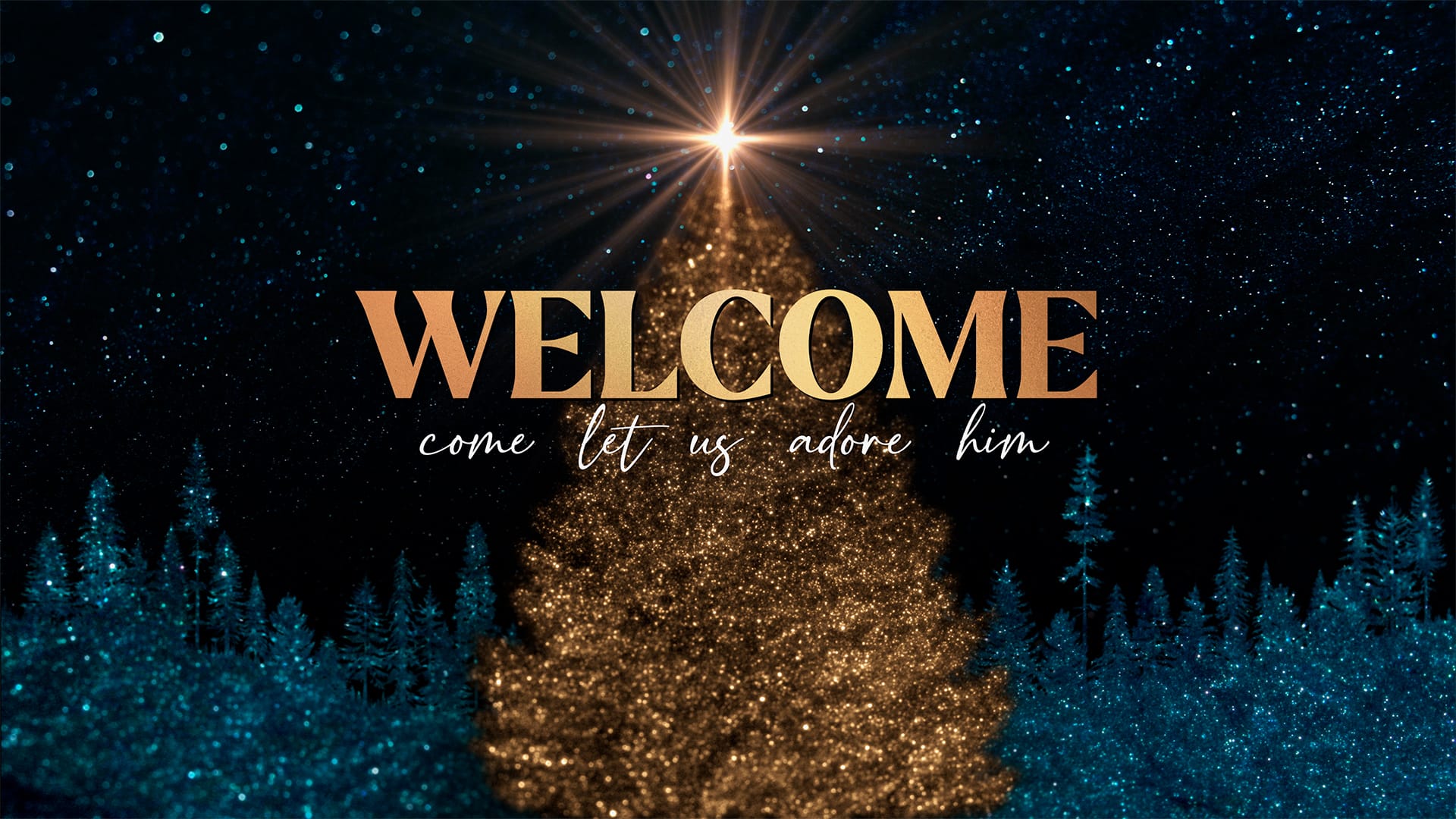 ShareFaith Media » Sparkling Christmas Collection: Welcome – ShareFaith ...