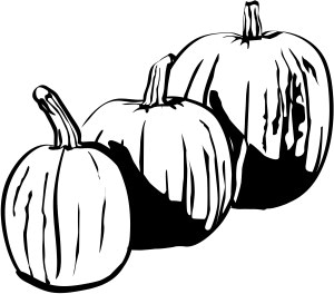 Three Black and White Pumpkins