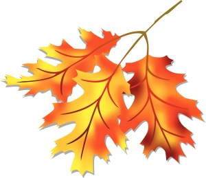 Three Fall Leaves Clipart