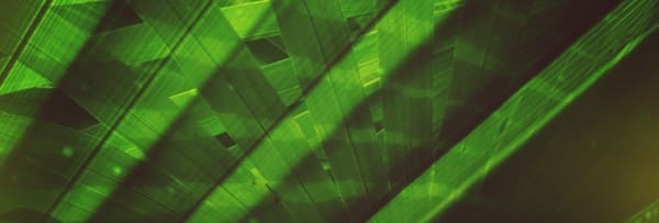 Palm Sunday Ministry Website Banner