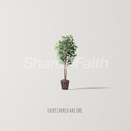 Church Ficus Plant Social Media Graphic