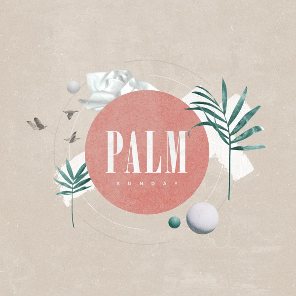 Palm Sunday Pink Church Social Media Graphic