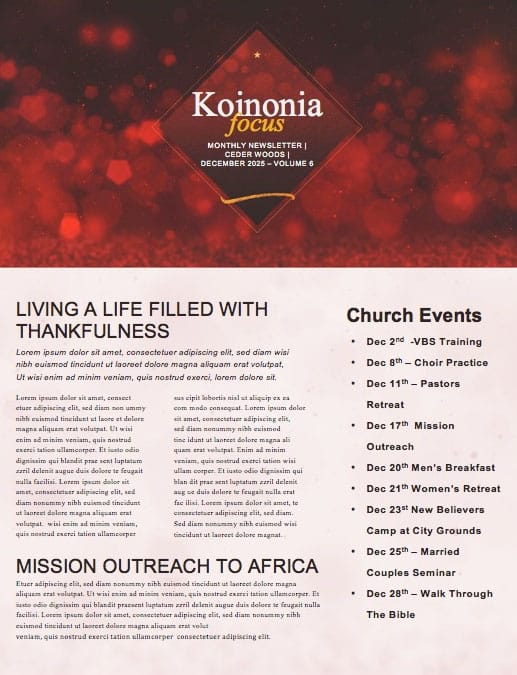 Experience Christmas Church Newsletter