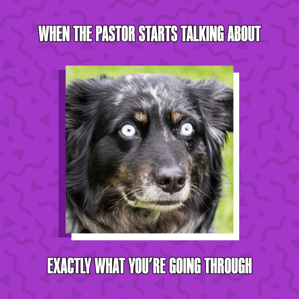 Dog Meme Sermon Social Media Graphic