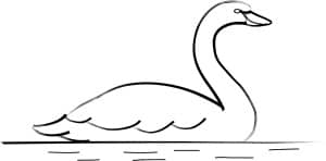 Line Art Swan