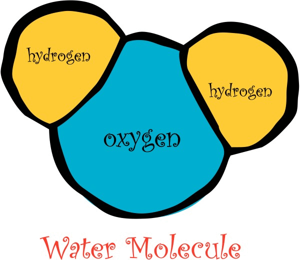 Fun Water Molecule Diagram
