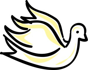 Dove with Yellow Shading