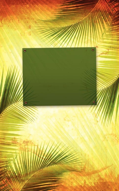 Palm Sunday Branches Bulletin Cover