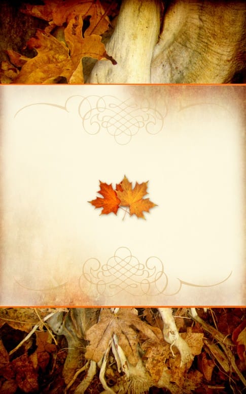 Autumn Leaves Bulletin Cover