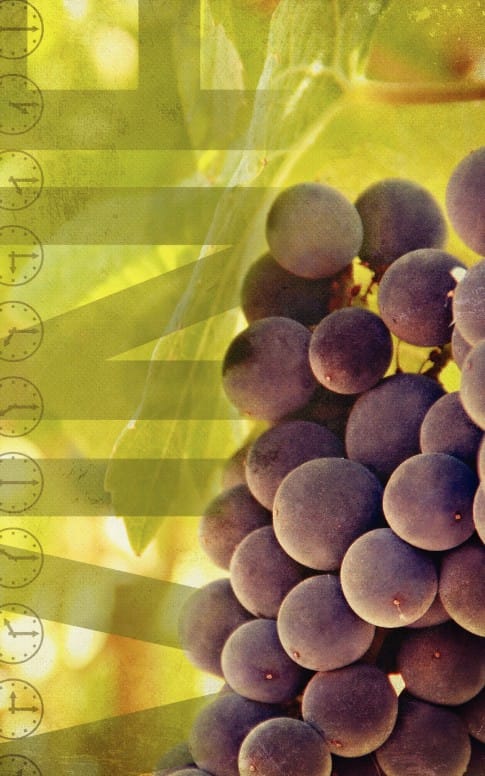 Vineyard Grapes Church Bulletin