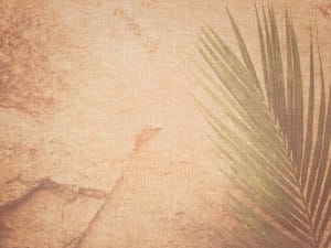 Palm Sunday Worship Background Template
