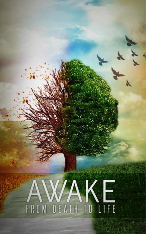 Awake Church Bulletin Cover