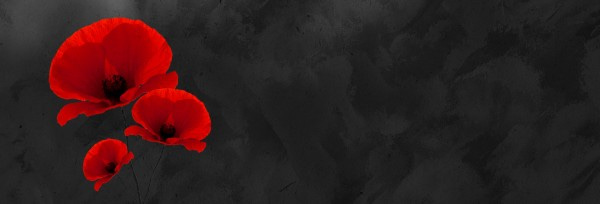 Remembrance Day Church Website Graphic