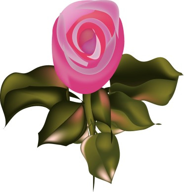 Pink Rose with Green Leaves