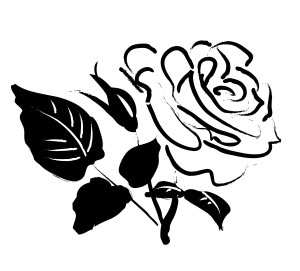 Rose Blossom Sketch