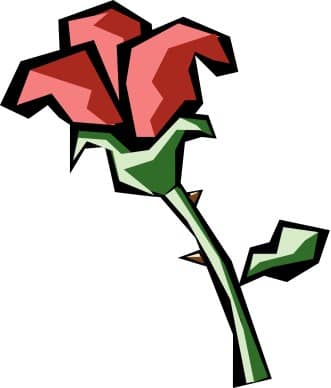 Graphic Red Rose