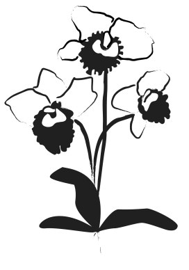 Orchid Decoration in Black Ink