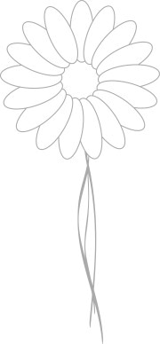 Light Stem on Daisy Blossom