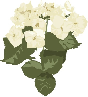 White Hydrangea Altar Flowers