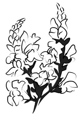 Altar Flower Bouquet Sketch