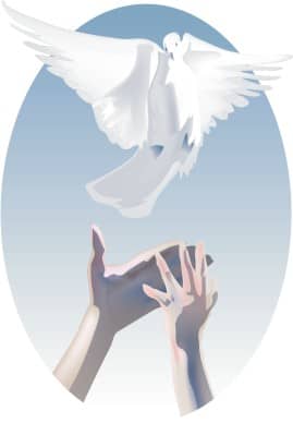 Dove with Freeing Hands