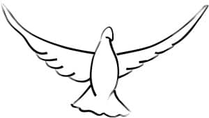 Open Wings Dove