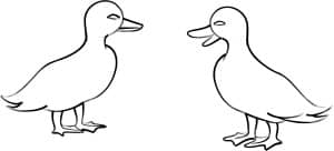Two Ducklings Line Art