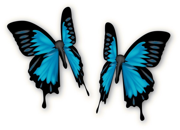 Pair of Blue Butterflies