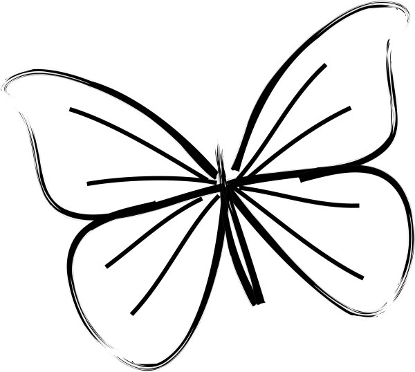 Single Butterfly Line Art