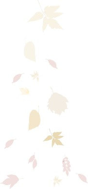 Various Fall Leaves
