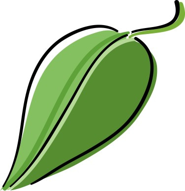 Simple Iconic Leaf