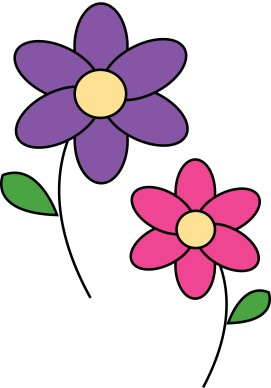 Pink and Purple Daisies